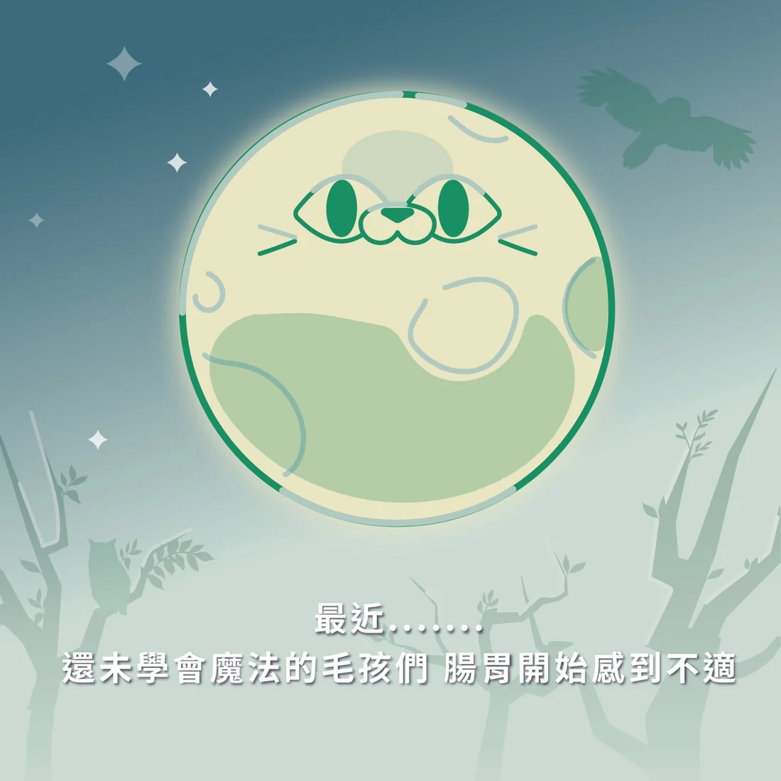【毛孩站起來】排毛魔法師 滾滾毛球咒