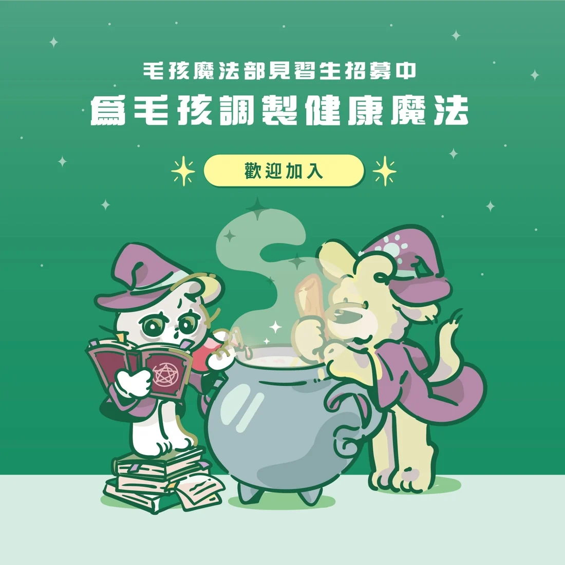 【毛孩站起來】排毛魔法師 滾滾毛球咒