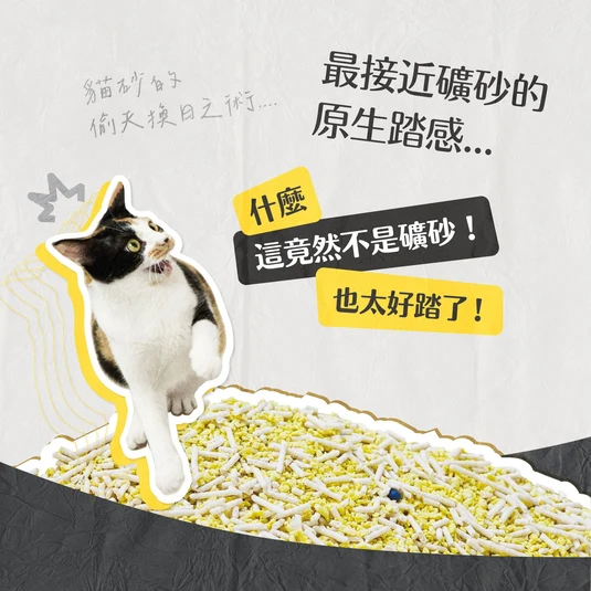 【毛孩站起來】五吉貓 小米科學貓砂