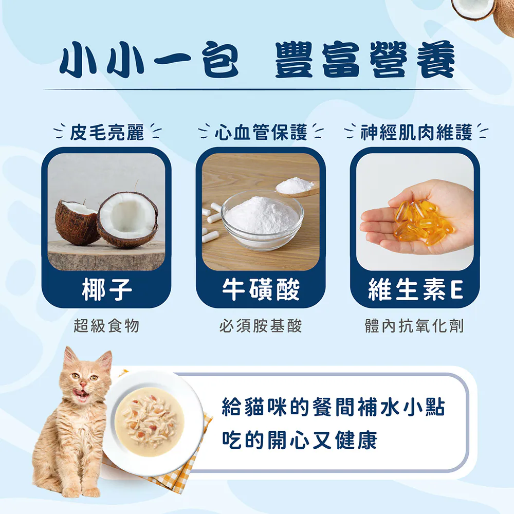 【Moochie姆吉】熱浪椰島貓湯包
