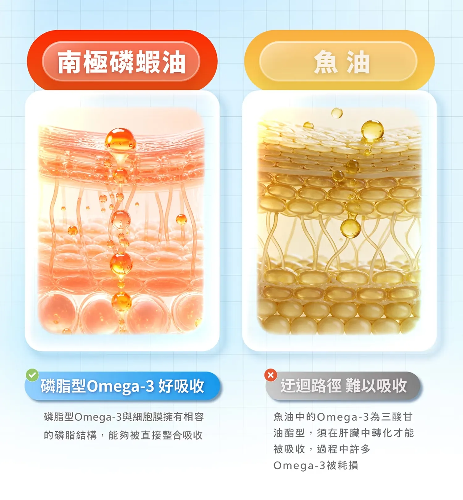 【肉球世界】神奇的南極磷蝦油Krill oil (犬用)