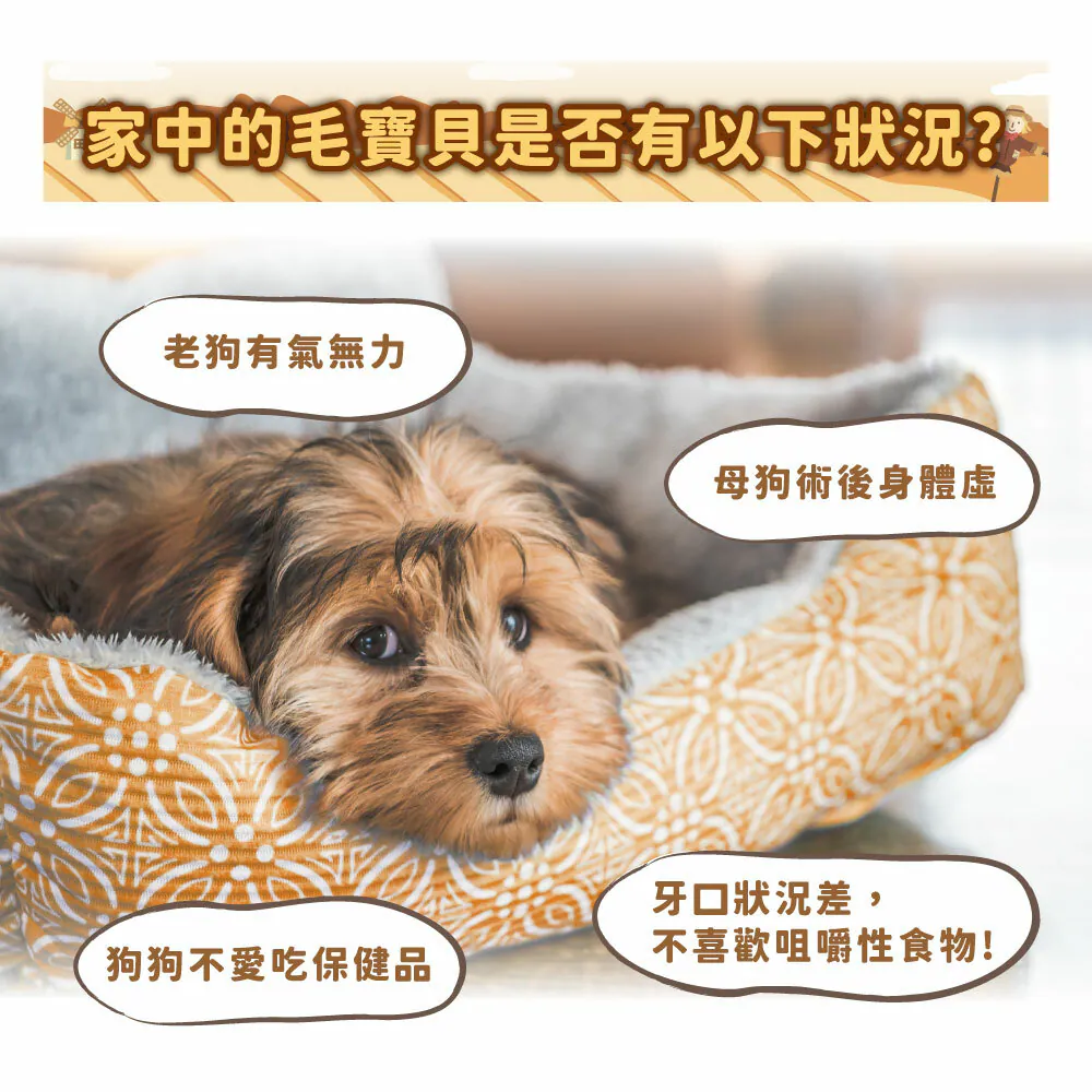 【喜樂寵宴】犬用原肉煲罐 | 維持免疫力及抵抗力