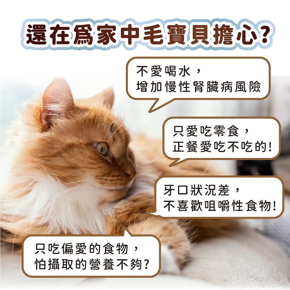挪威極鮭主食罐