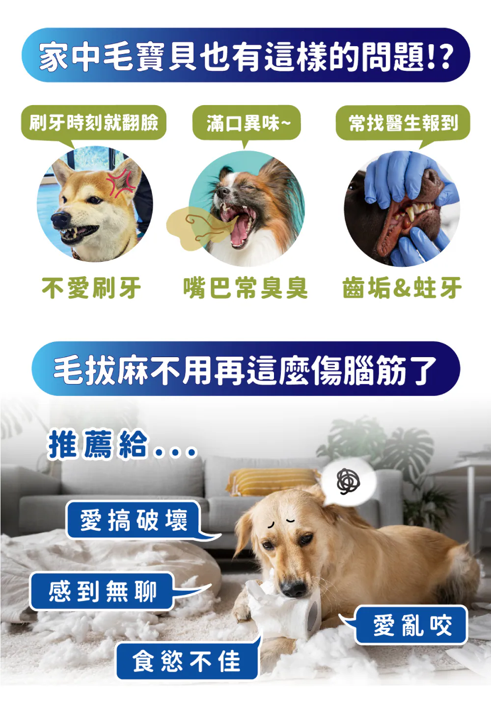【喜樂寵宴】每日潔 雙色螺旋保健潔牙骨