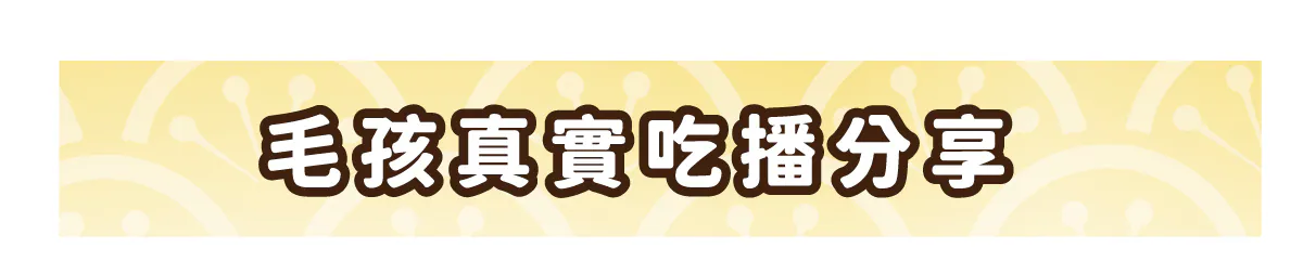 【喜樂寵宴】貓主子御用保健機能肉泥條