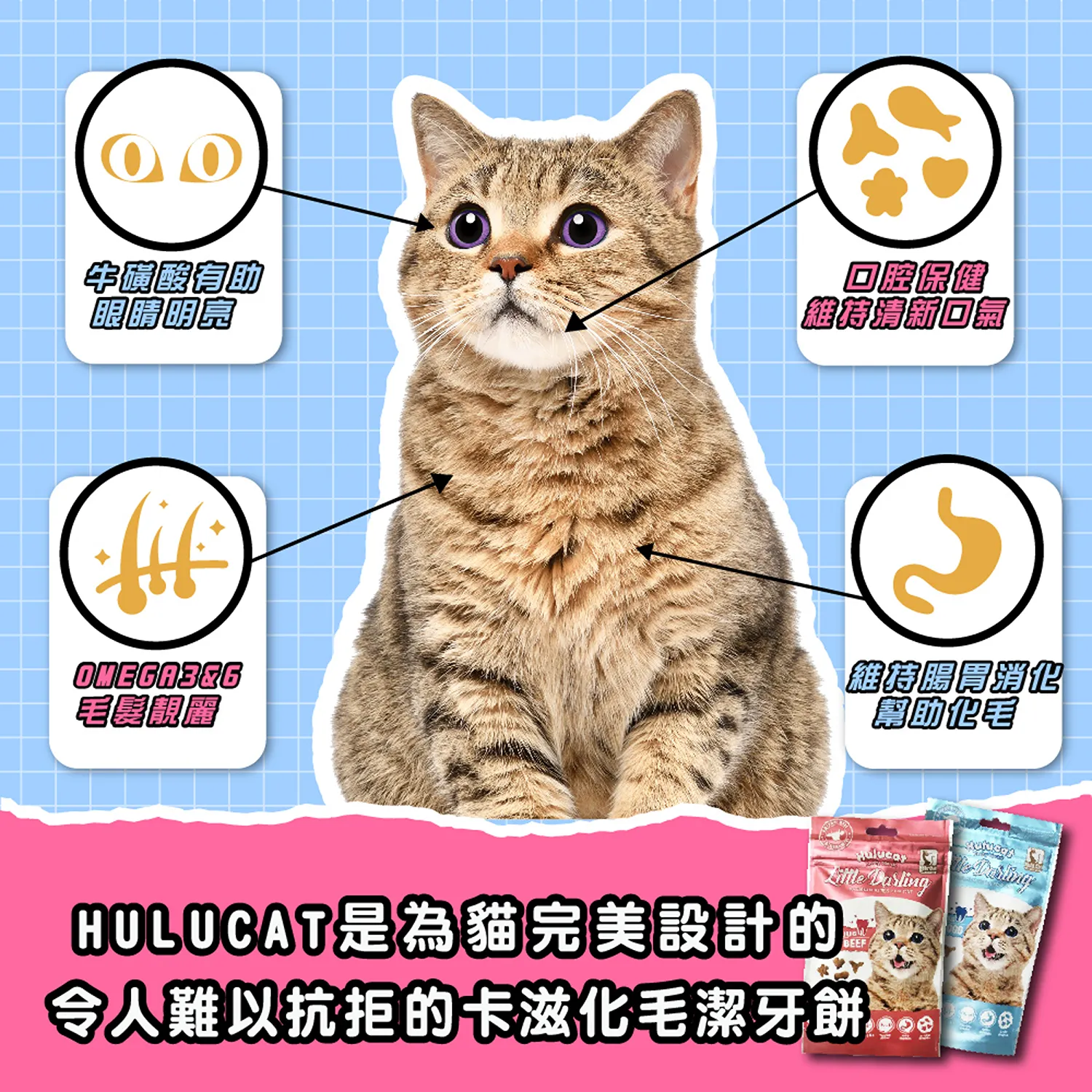 【Hulucat】卡滋化毛潔牙餅