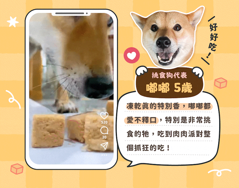 100% 牛肉凍乾小丁