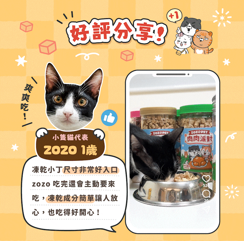 100% 牛肉凍乾小丁