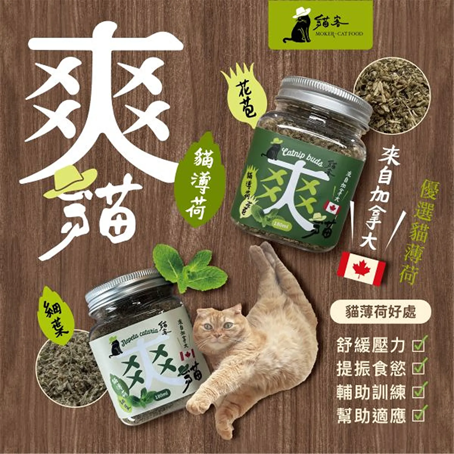 【貓客】爽貓加拿大貓薄荷 | 180ml