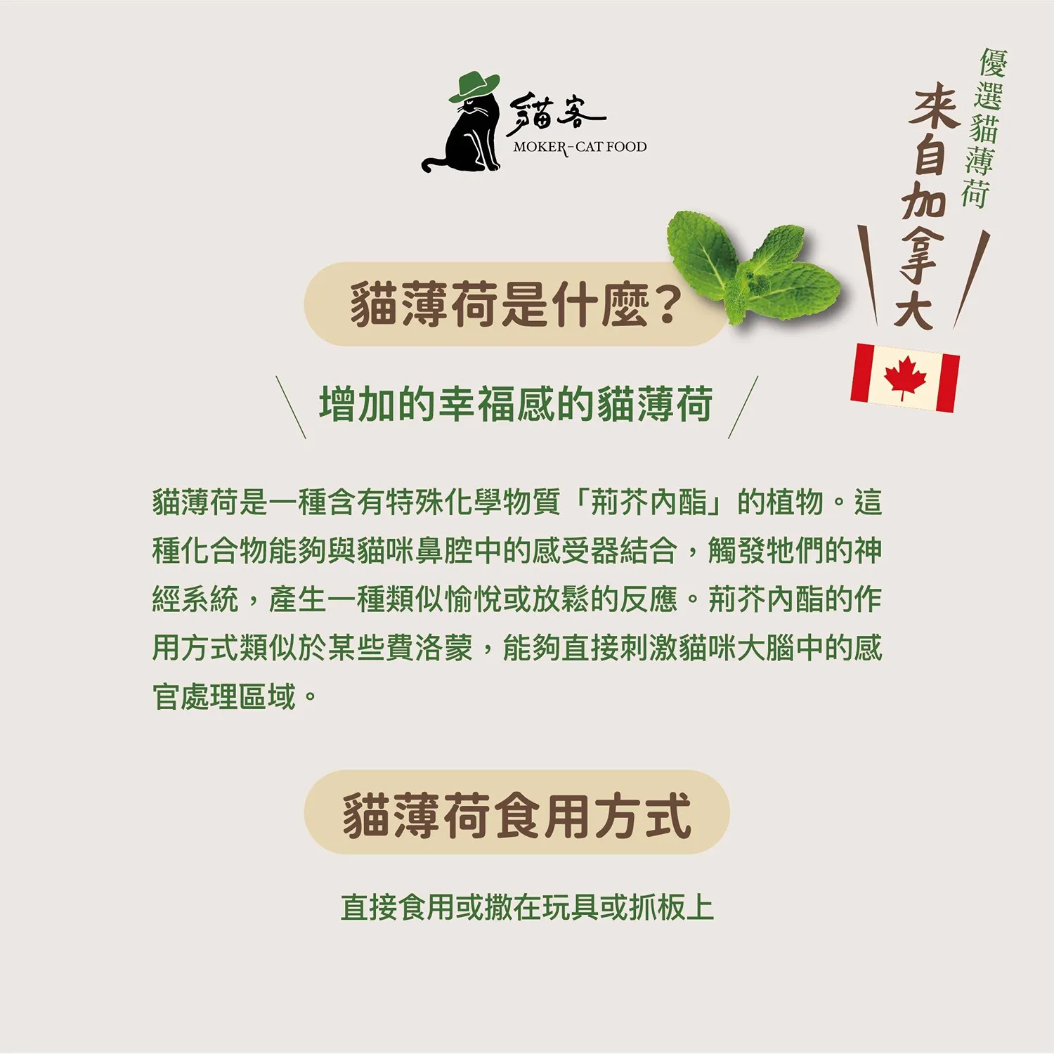 【爽貓】貓薄荷