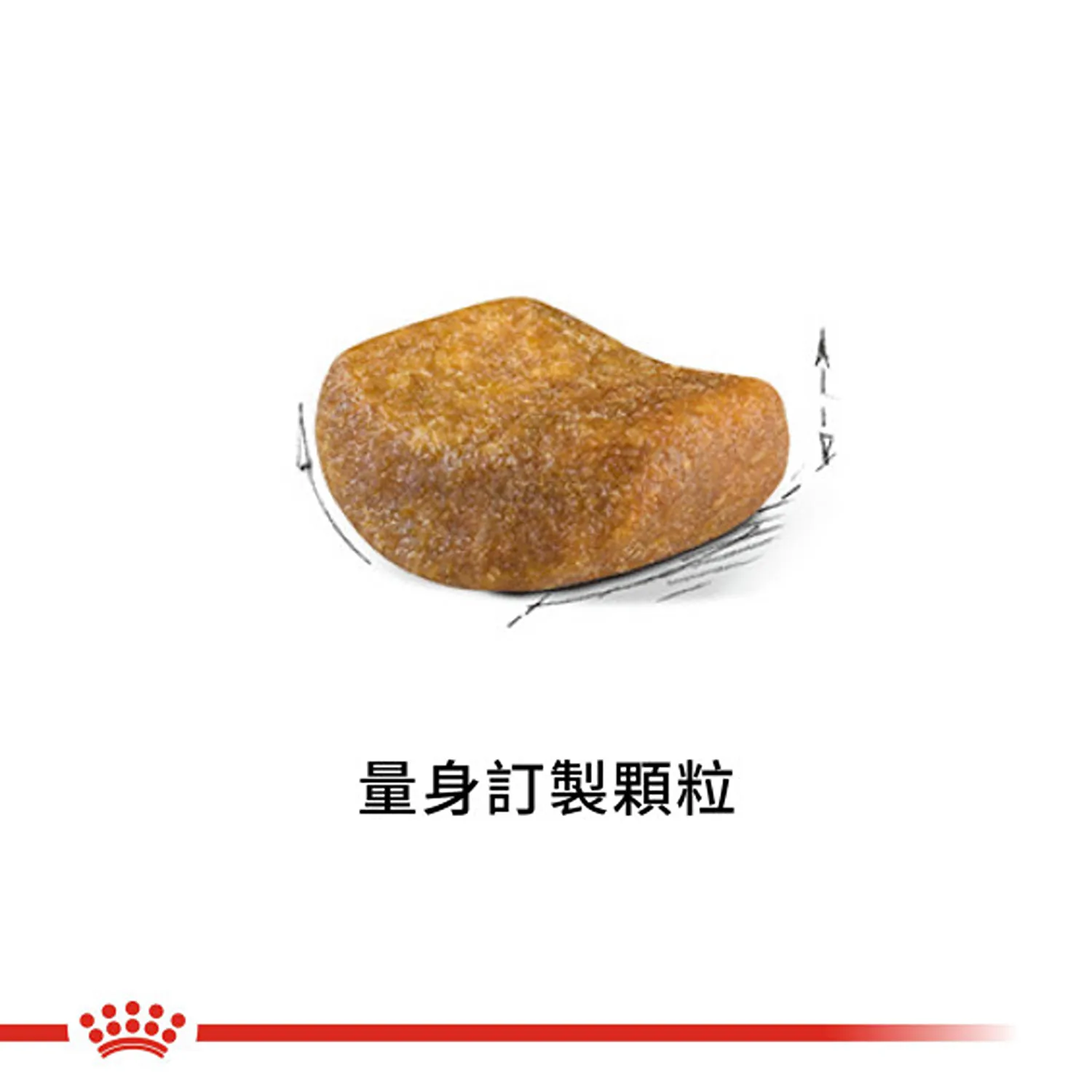 【ROYAL CANIN 皇家】BS34 英國短毛成貓專用乾糧