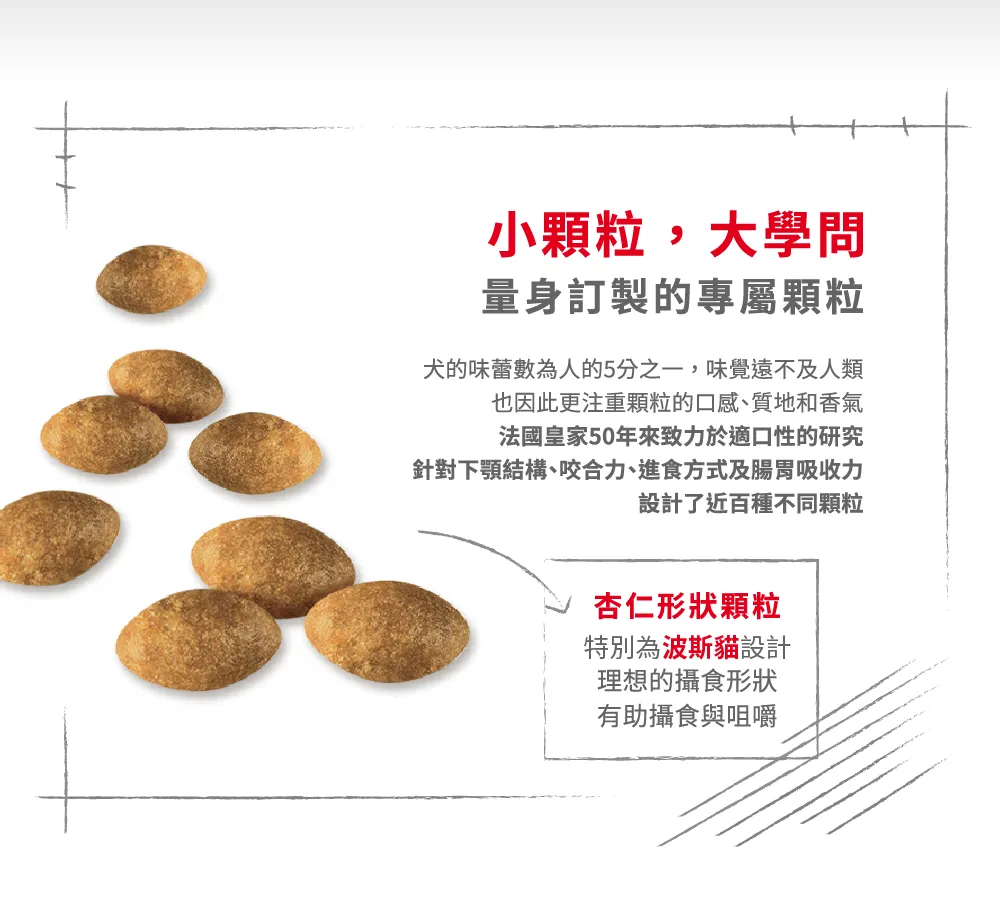 【ROYAL CANIN 皇家】P30 波斯成貓專用乾糧