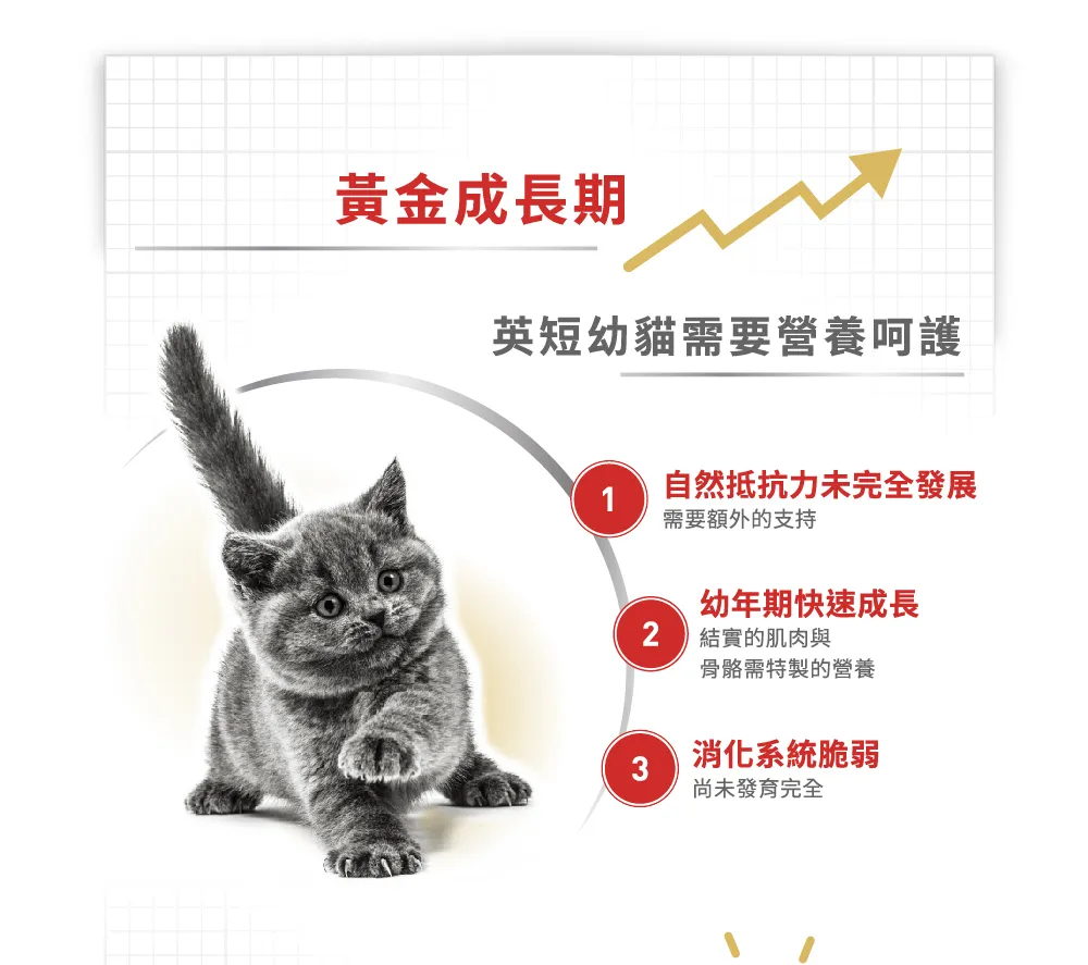 【ROYAL CANIN 皇家】BSK38 英國短毛幼貓專用乾糧