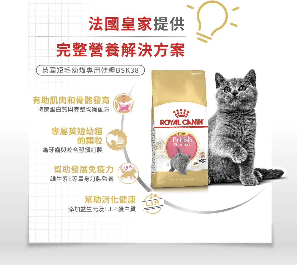 【ROYAL CANIN 皇家】BSK38 英國短毛幼貓專用乾糧