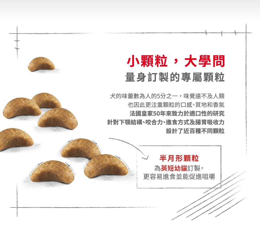 【ROYAL CANIN 皇家】BSK38 英國短毛幼貓專用乾糧