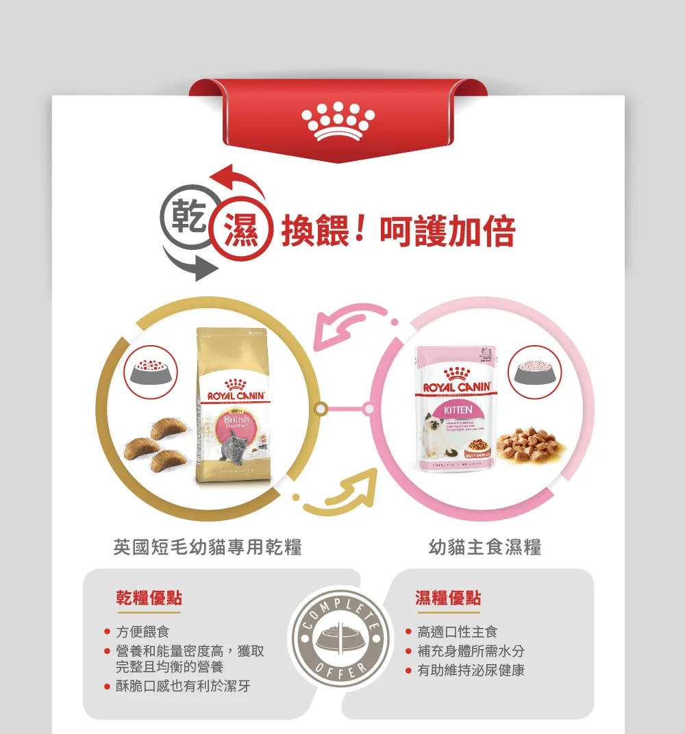 【ROYAL CANIN 皇家】BSK38 英國短毛幼貓專用乾糧