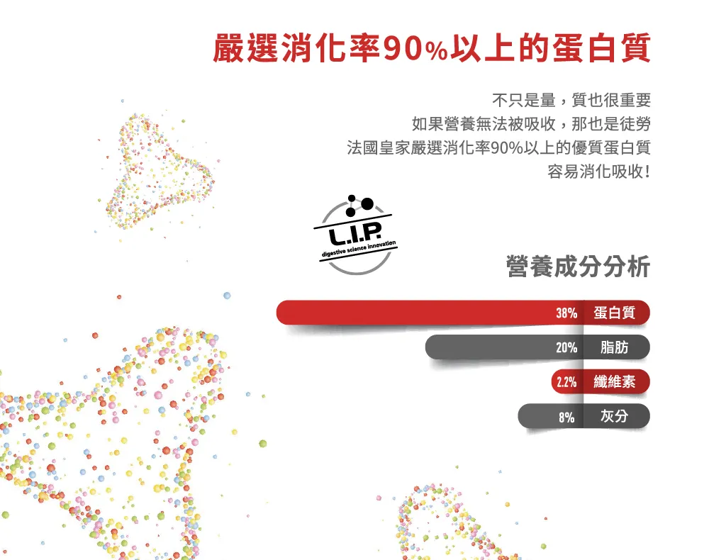 【ROYAL CANIN 皇家】BSK38 英國短毛幼貓專用乾糧