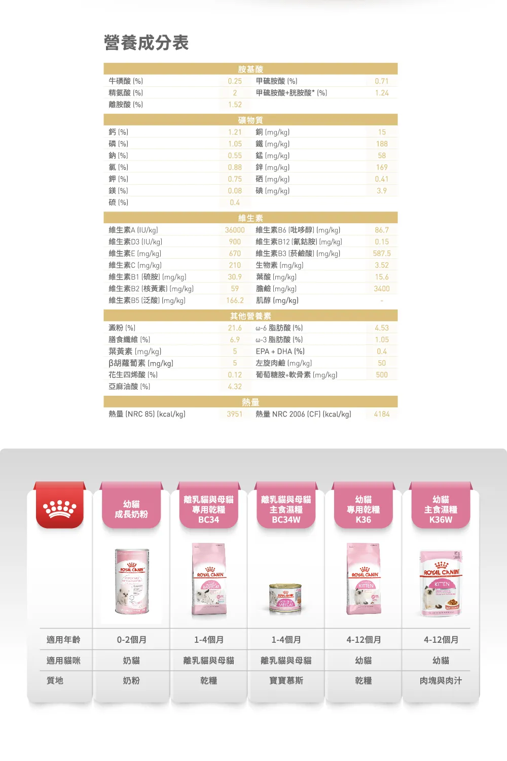【ROYAL CANIN 皇家】BSK38 英國短毛幼貓專用乾糧