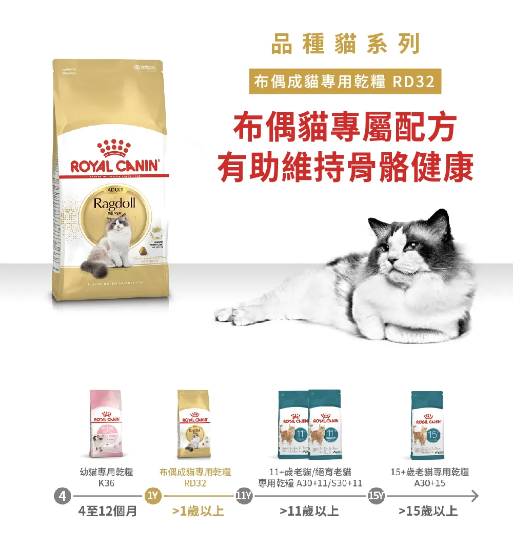 【ROYAL CANIN 皇家】RD32 布偶成貓專用乾糧