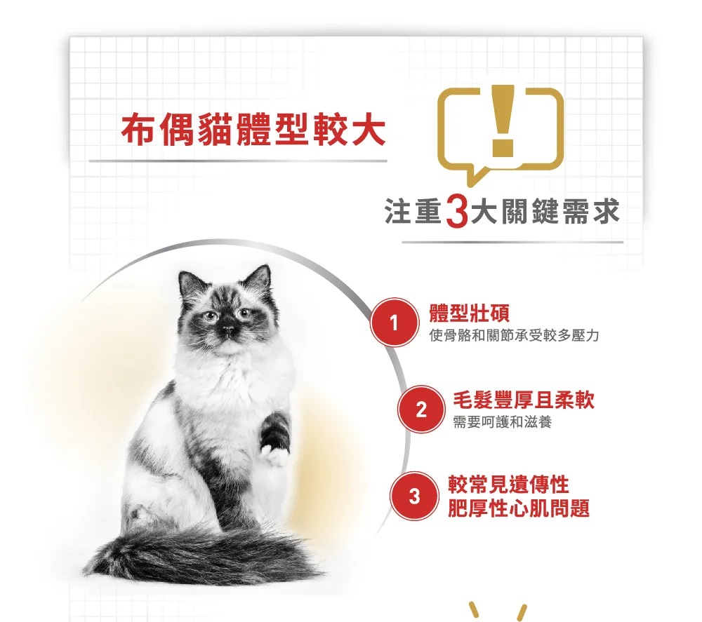 【ROYAL CANIN 皇家】RD32 布偶成貓專用乾糧