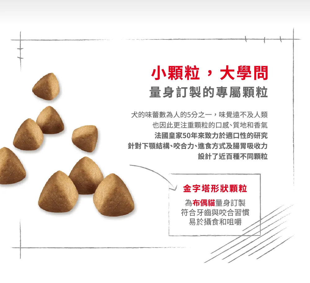 【ROYAL CANIN 皇家】RD32 布偶成貓專用乾糧