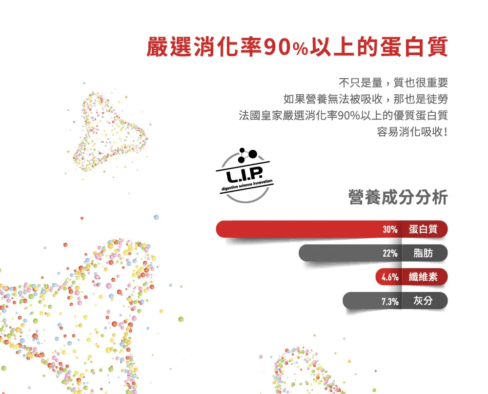 【ROYAL CANIN 皇家】RD32 布偶成貓專用乾糧