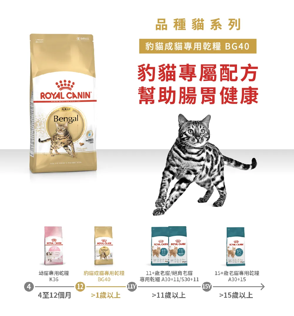 【ROYAL CANIN 皇家】BG40 豹貓成貓專用乾糧