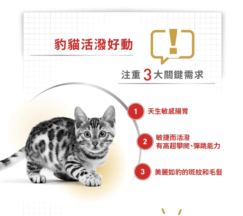 【ROYAL CANIN 皇家】BG40 豹貓成貓專用乾糧