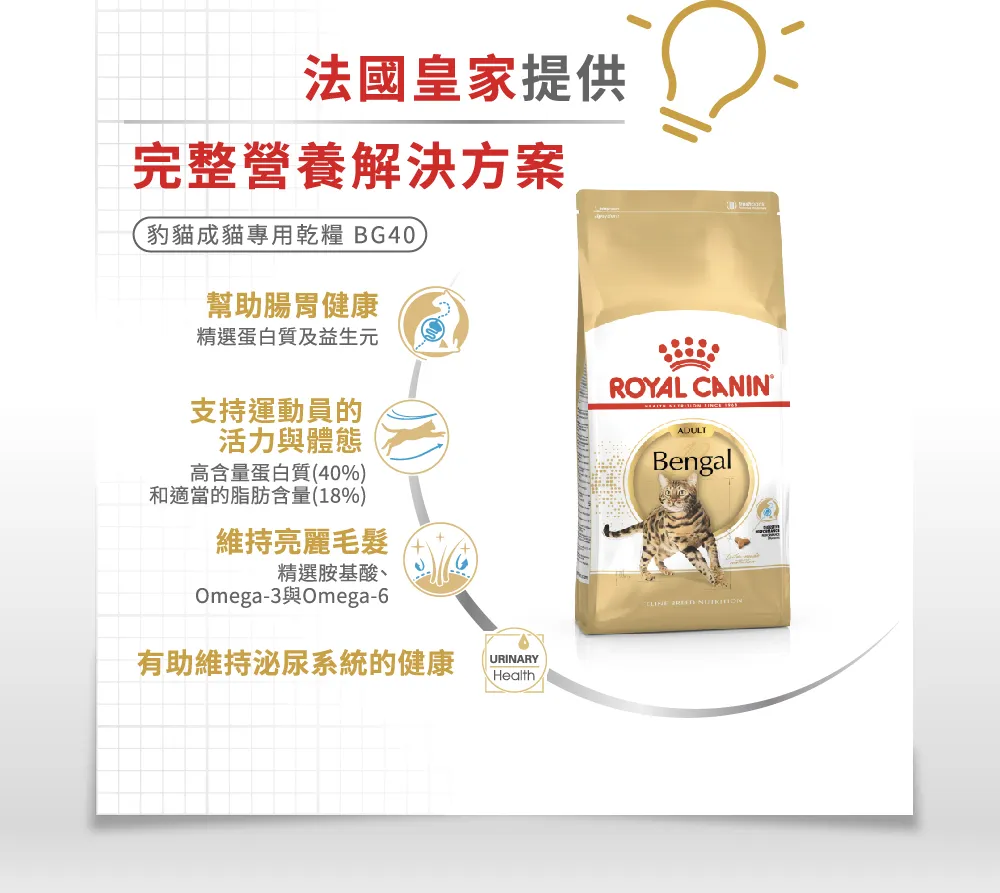 【ROYAL CANIN 皇家】BG40 豹貓成貓專用乾糧
