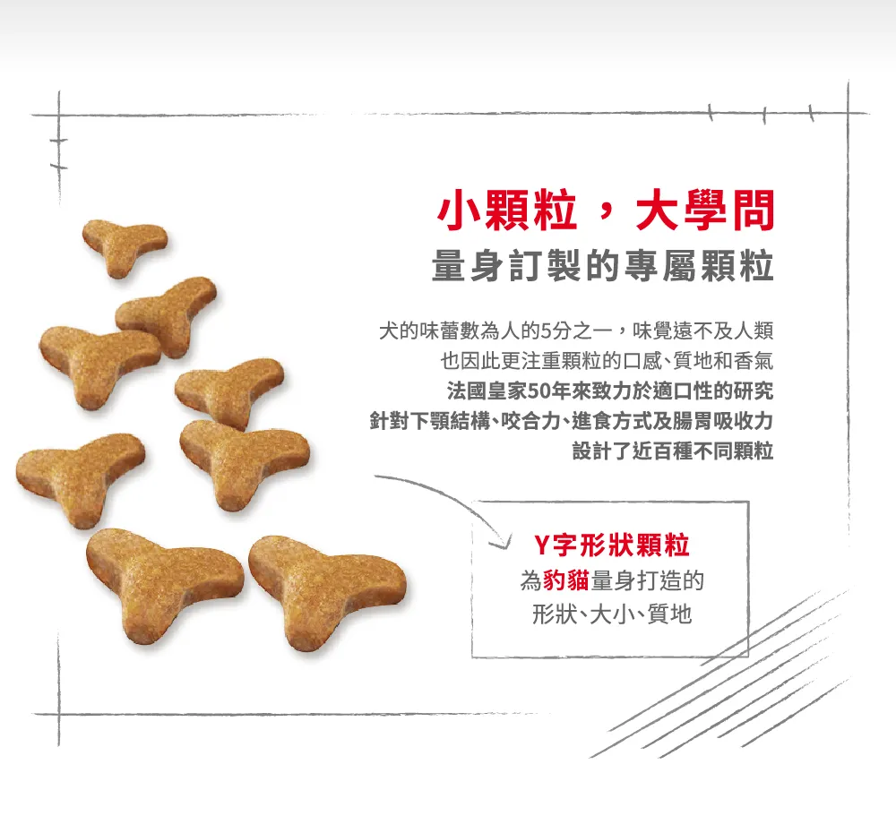 【ROYAL CANIN 皇家】BG40 豹貓成貓專用乾糧