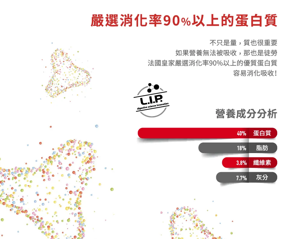 【ROYAL CANIN 皇家】BG40 豹貓成貓專用乾糧