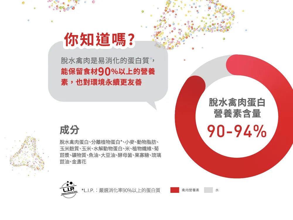 【ROYAL CANIN 皇家】BG40 豹貓成貓專用乾糧