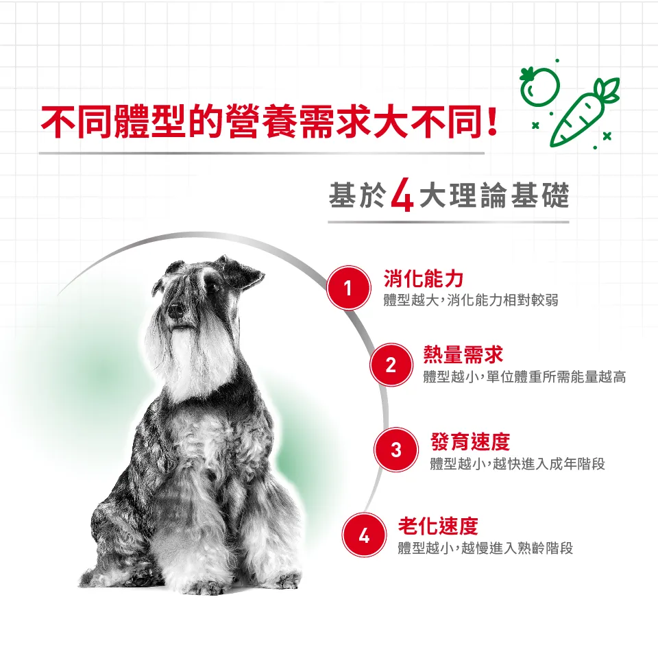 【ROYAL CANIN 皇家】MNA 小型成犬專用乾糧