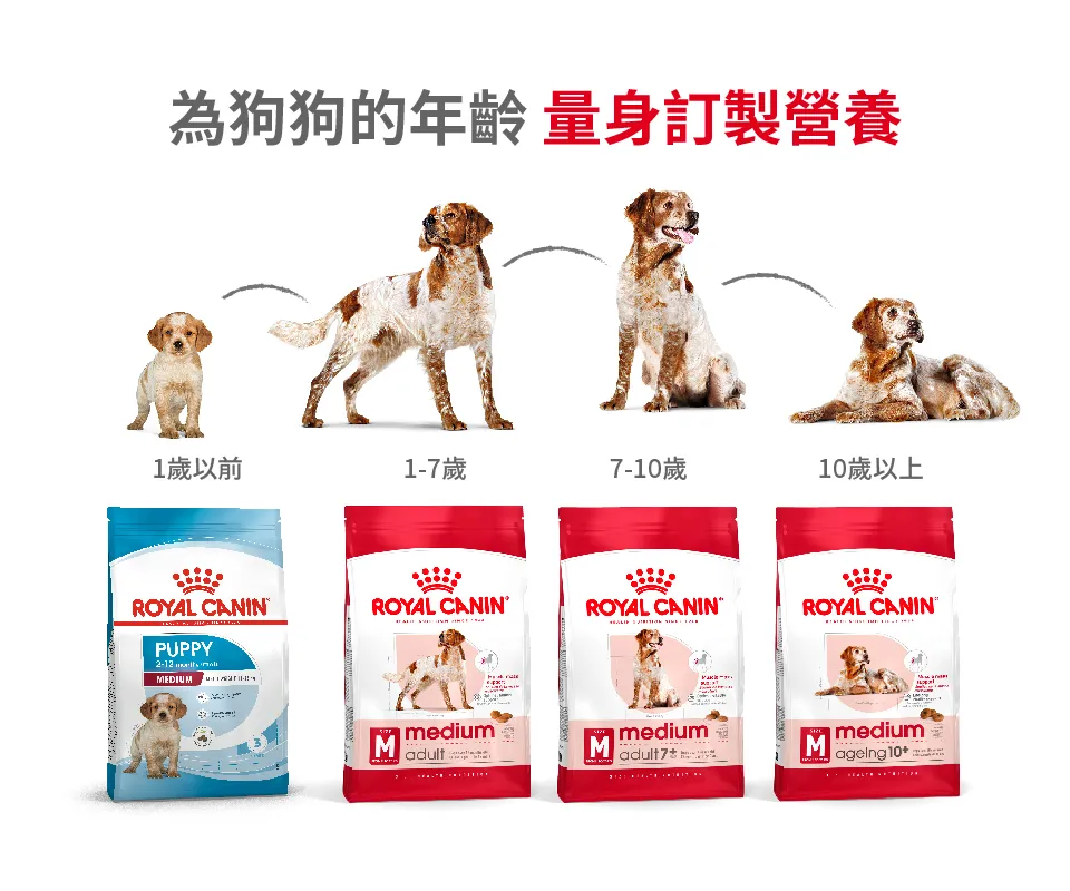 【ROYAL CANIN 皇家】MA 中型成犬專用乾糧