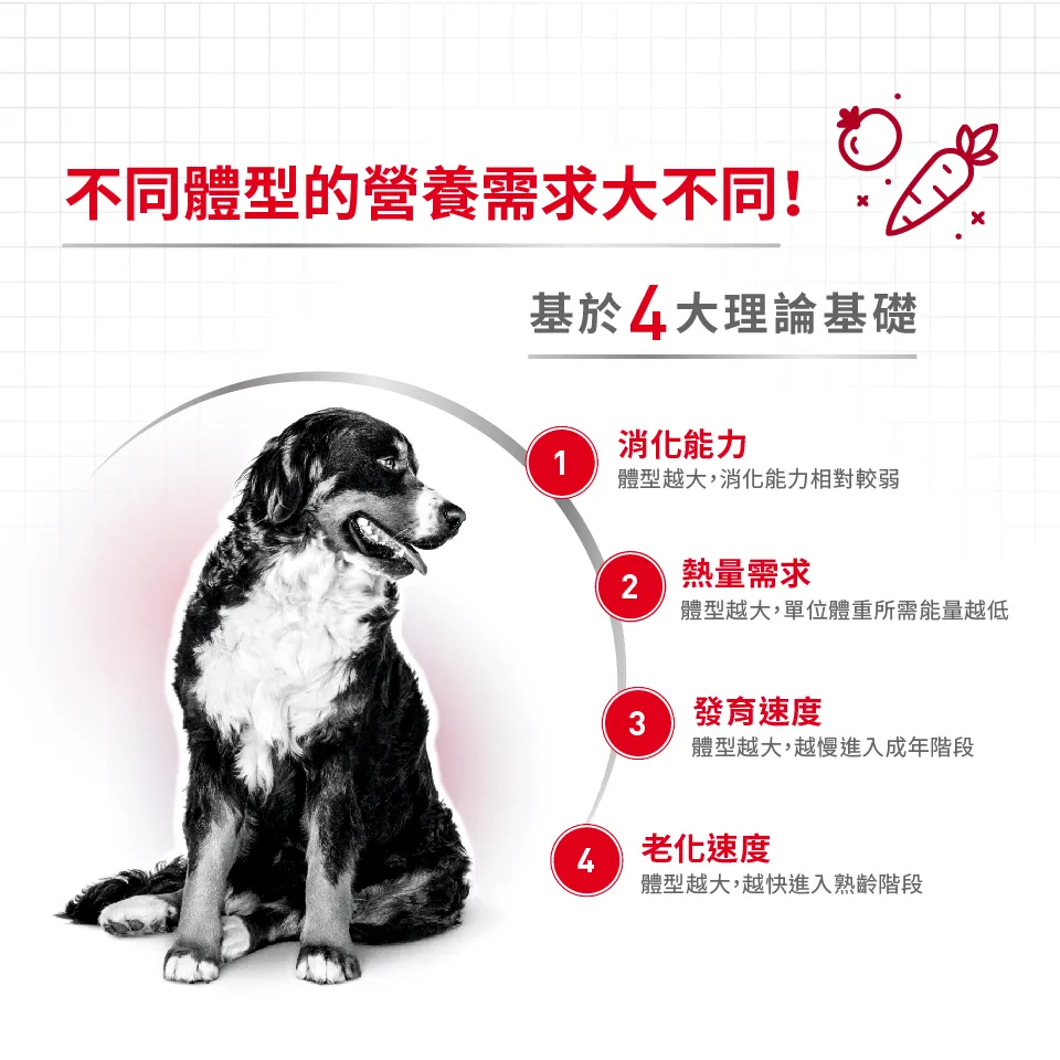 【ROYAL CANIN 皇家】MA 中型成犬專用乾糧