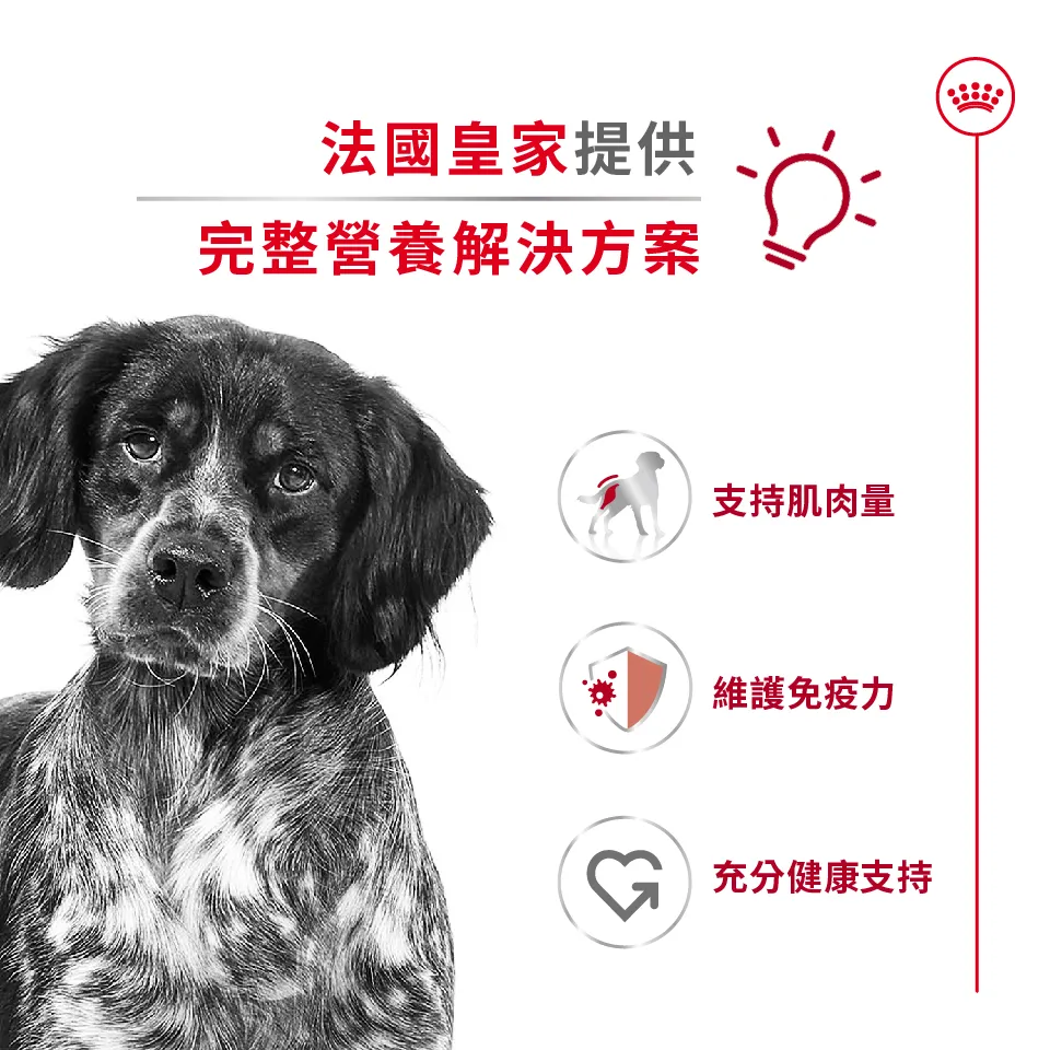 【ROYAL CANIN 皇家】MA 中型成犬專用乾糧