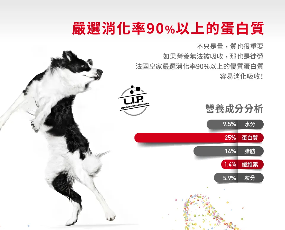 【ROYAL CANIN 皇家】MA 中型成犬專用乾糧