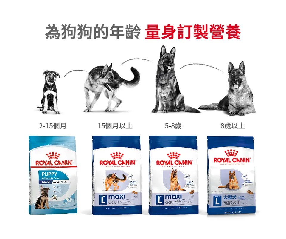 【ROYAL CANIN 皇家】MXA 大型成犬專用乾糧