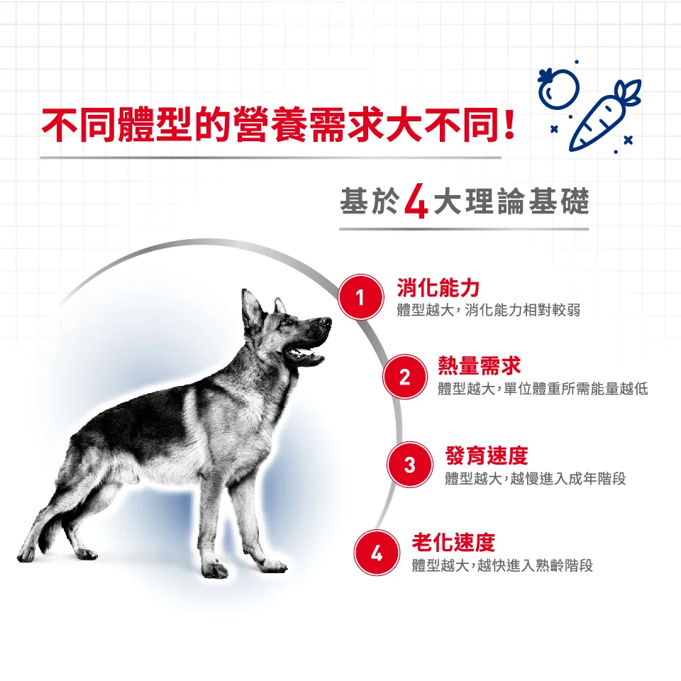 【ROYAL CANIN 皇家】MXA 大型成犬專用乾糧