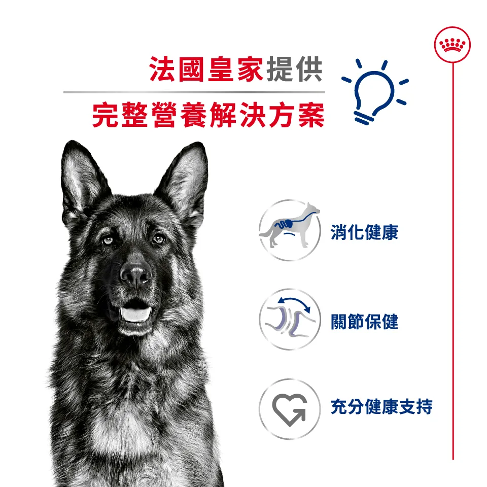 【ROYAL CANIN 皇家】MXA 大型成犬專用乾糧