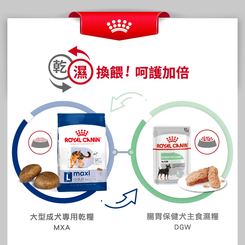 【ROYAL CANIN 皇家】MXA 大型成犬專用乾糧