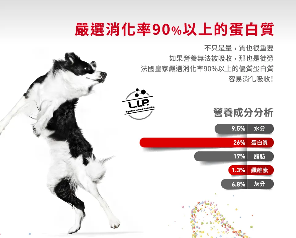 【ROYAL CANIN 皇家】MXA 大型成犬專用乾糧