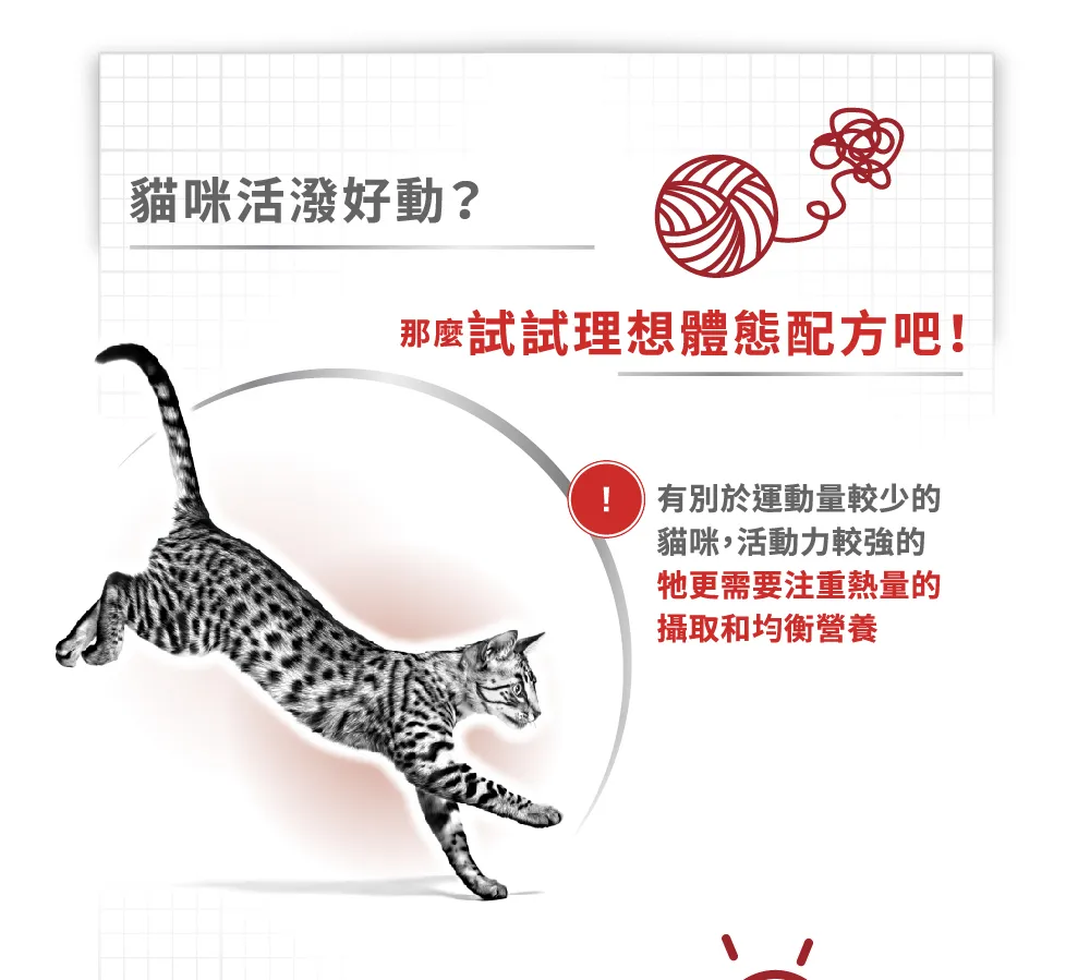 【ROYAL CANIN 皇家】F32 理想體態成貓專用乾糧