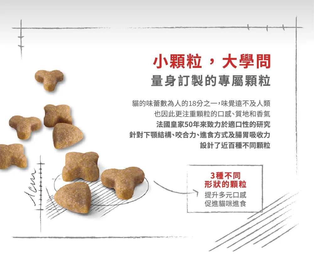 【ROYAL CANIN 皇家】S33 腸胃敏感成貓專用乾糧