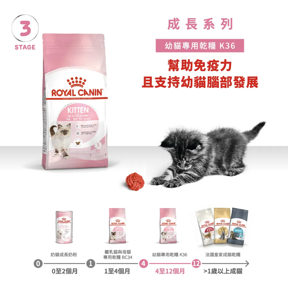【ROYAL CANIN 皇家】K36 幼貓專用乾糧