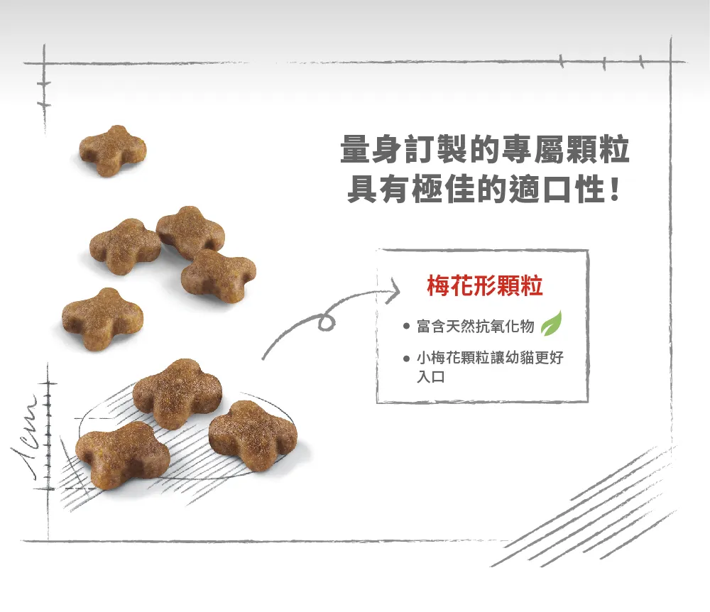 【ROYAL CANIN 皇家】K36 幼貓專用乾糧