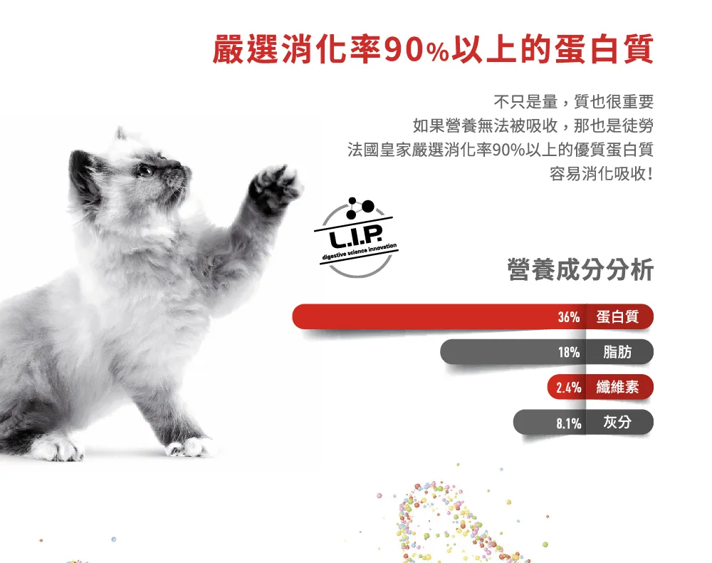 【ROYAL CANIN 皇家】K36 幼貓專用乾糧