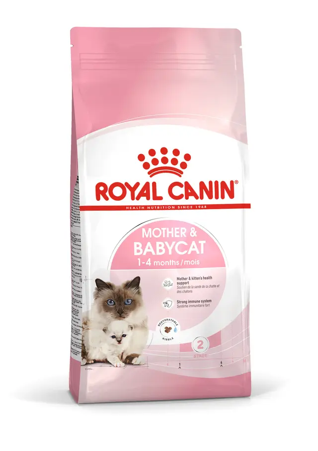 【ROYAL CANIN 皇家】BC34 離乳貓與母貓專用乾糧