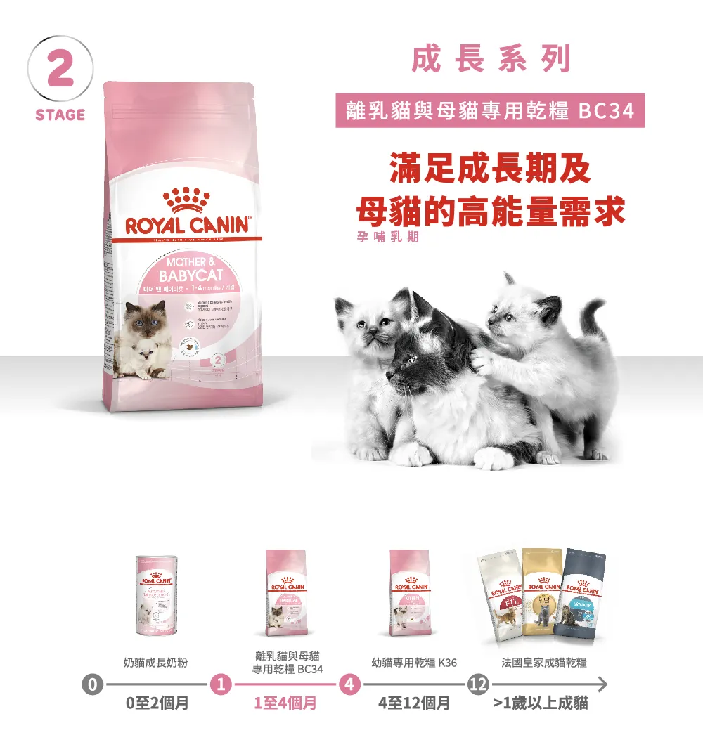 【ROYAL CANIN 皇家】BC34 離乳貓與母貓專用乾糧