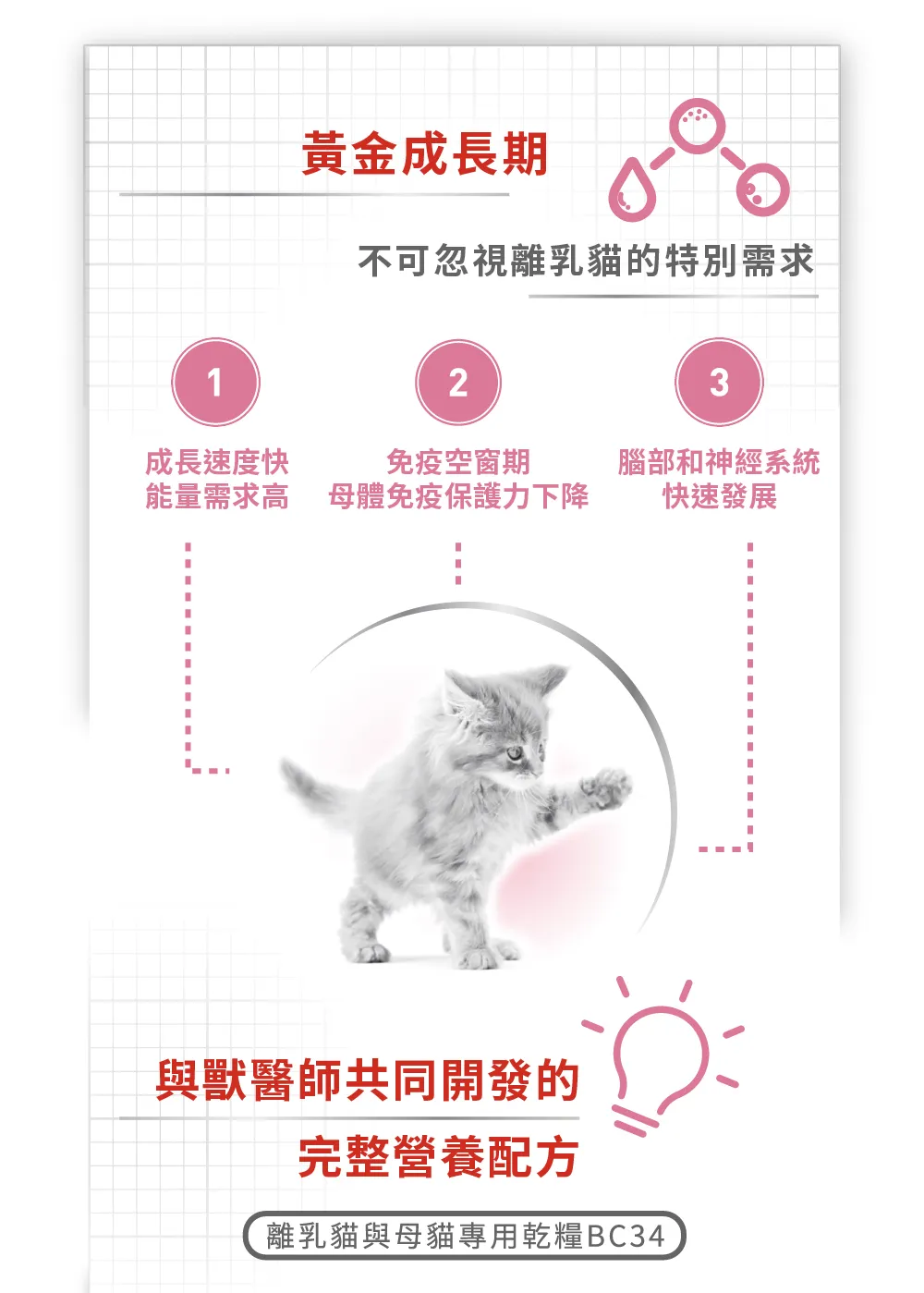 【ROYAL CANIN 皇家】BC34 離乳貓與母貓專用乾糧
